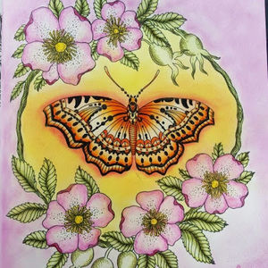 Meet your Posher, Evelyn